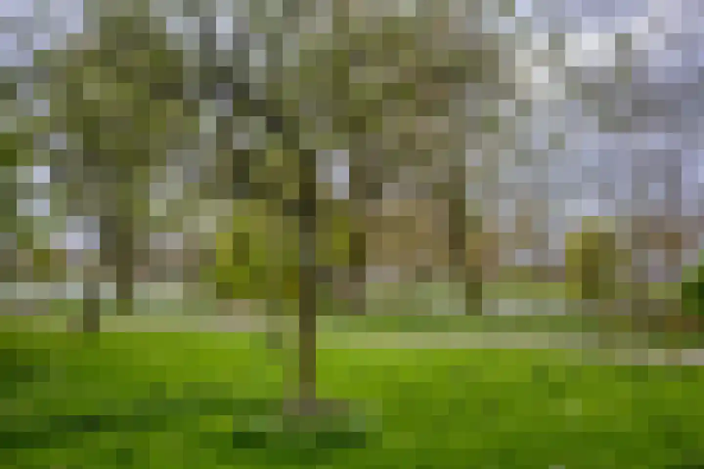 Cellebroedersweg 6 Kampen thumbnail 44