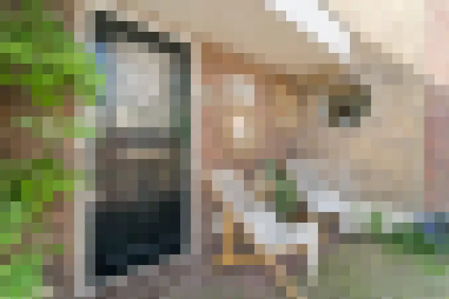 Cellebroerstraat 21 Delft thumbnail 10
