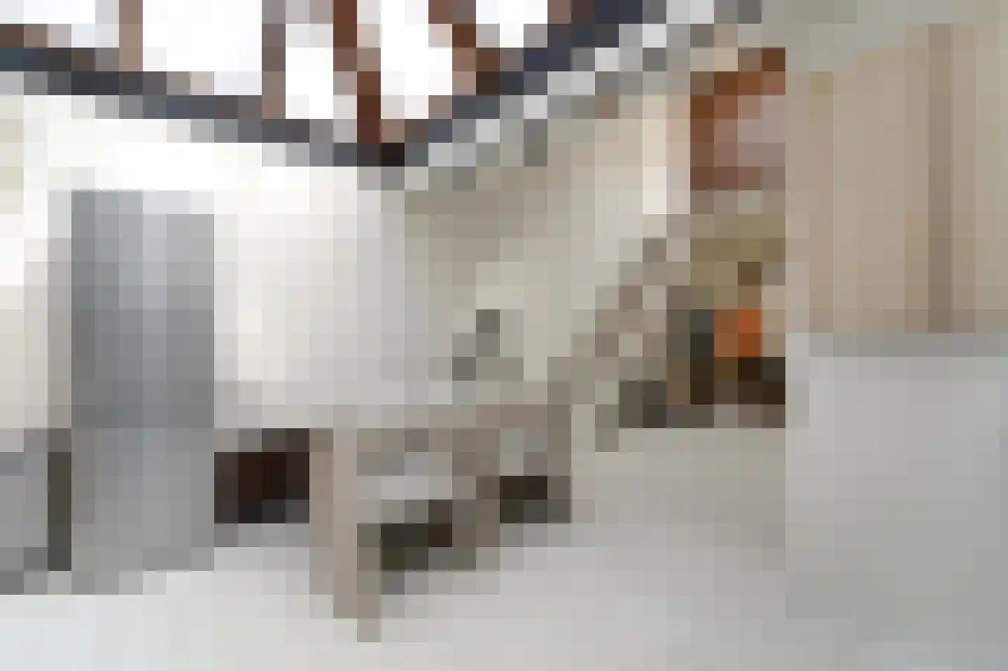 Cellebroerstraat 21 Delft thumbnail 16