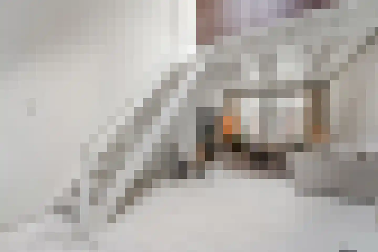 Cellebroerstraat 21 Delft thumbnail 17