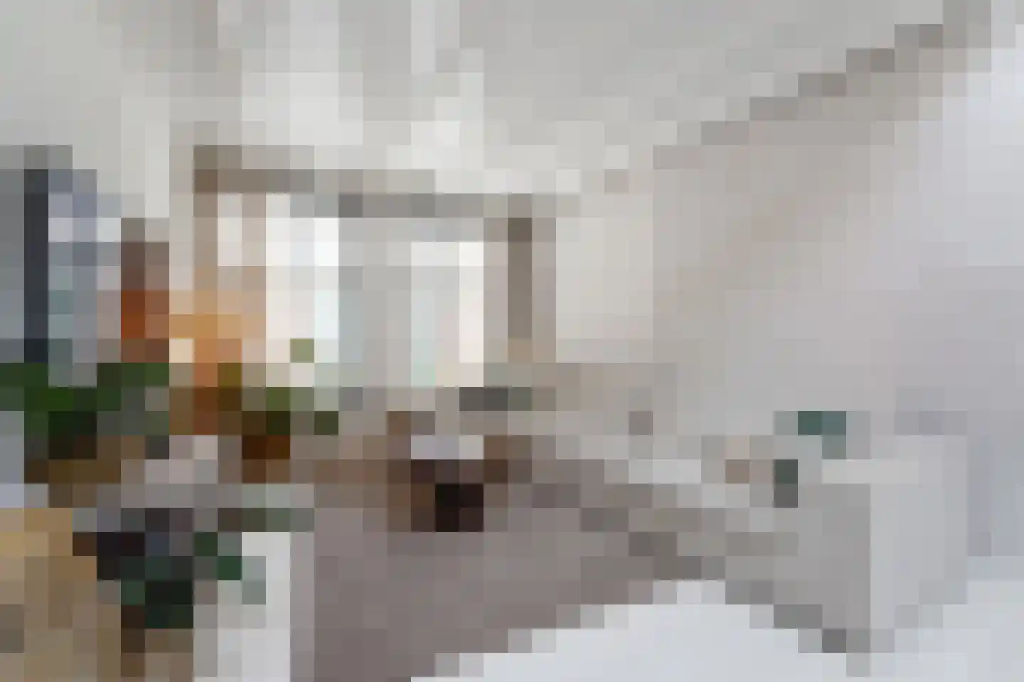 Cellebroerstraat 21 Delft thumbnail 19