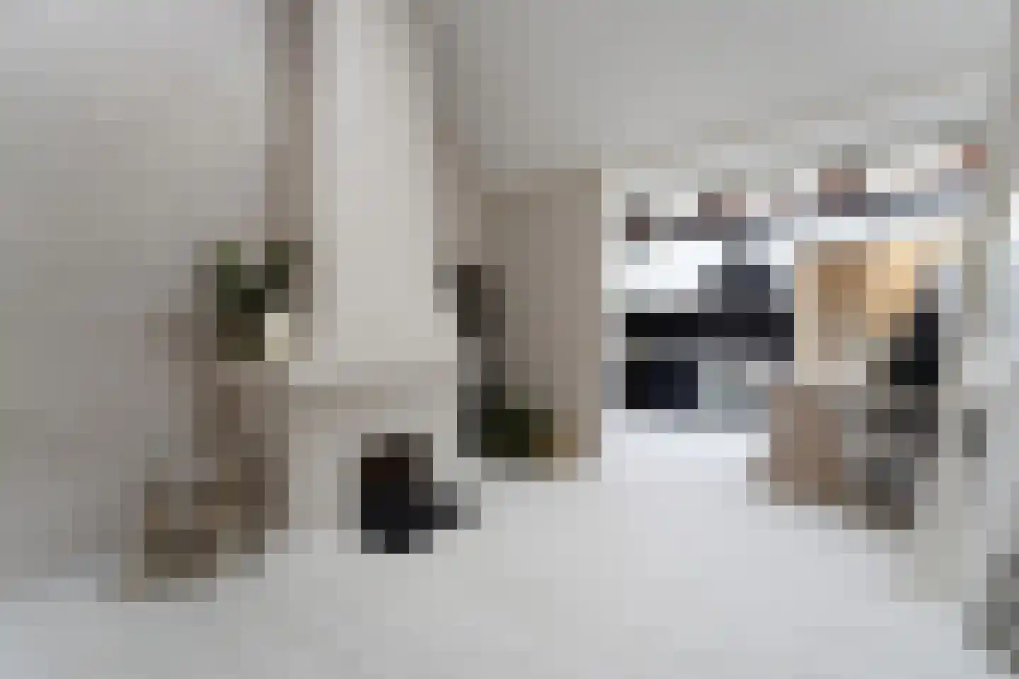 Cellebroerstraat 21 Delft thumbnail 21