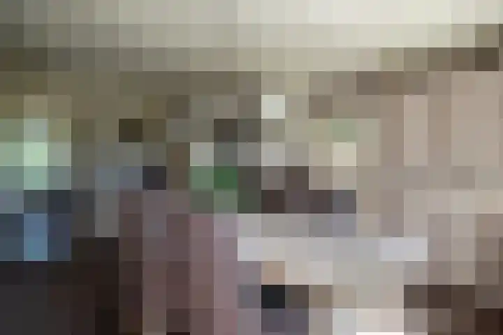 Cellemuiden 35 Hasselt thumbnail 10