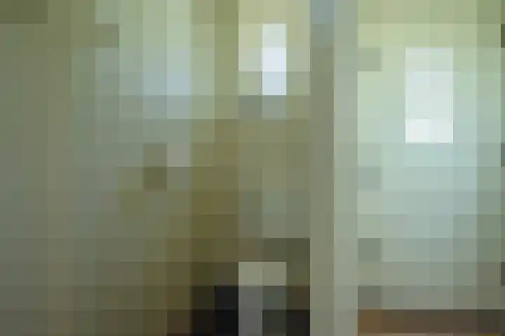 Cellemuiden 35 Hasselt thumbnail 12