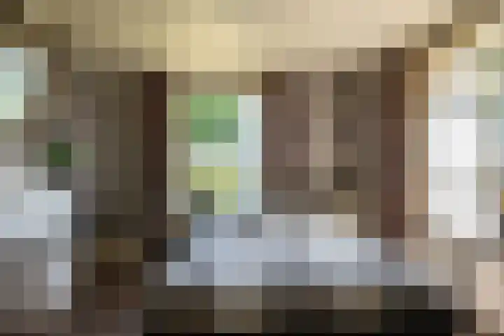 Cellemuiden 35 Hasselt thumbnail 13