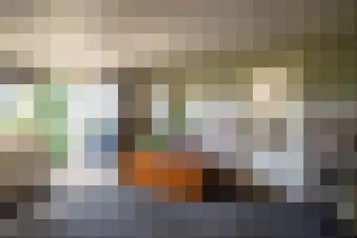 Cellemuiden 35 Hasselt thumbnail 14