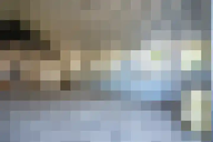 Cellemuiden 35 Hasselt thumbnail 16