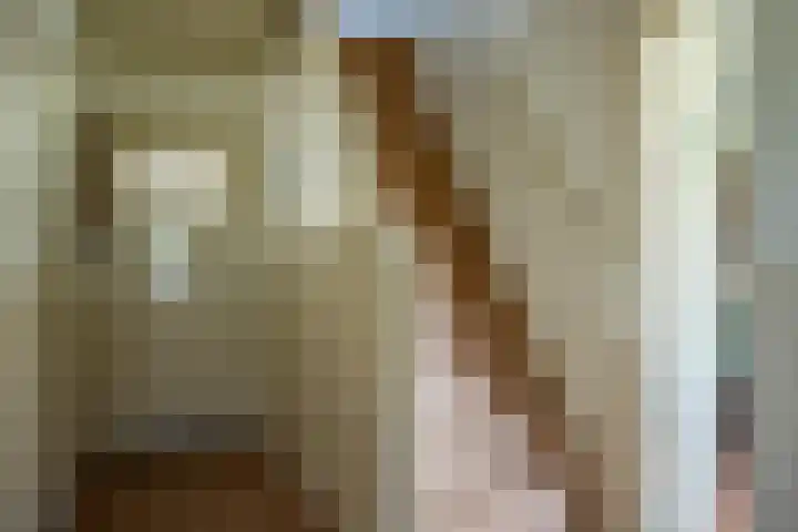 Cellemuiden 35 Hasselt thumbnail 17