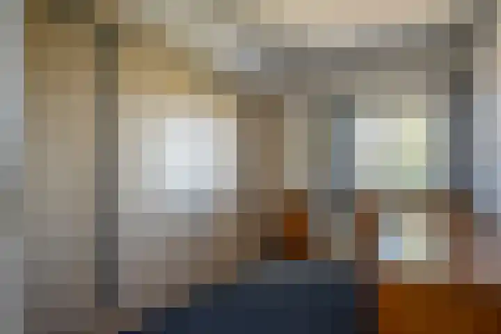 Cellemuiden 35 Hasselt thumbnail 19