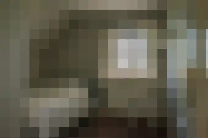 Cellemuiden 35 Hasselt thumbnail 20
