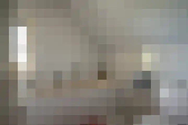 Cellemuiden 35 Hasselt thumbnail 22