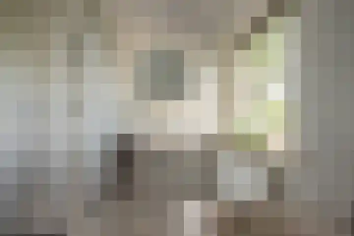 Cellemuiden 35 Hasselt thumbnail 23