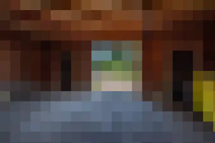 Cellemuiden 35 Hasselt thumbnail 29