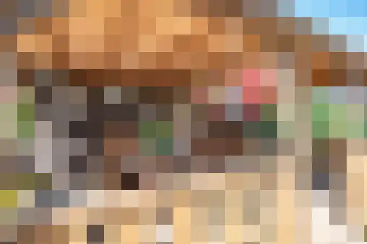 Cellemuiden 35 Hasselt thumbnail 31