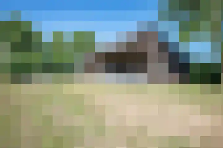 Cellemuiden 35 Hasselt thumbnail 33