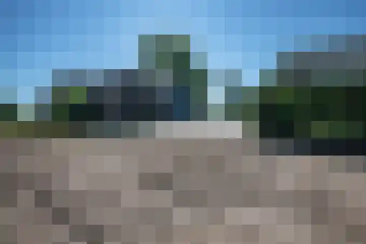 Cellemuiden 35 Hasselt thumbnail 34