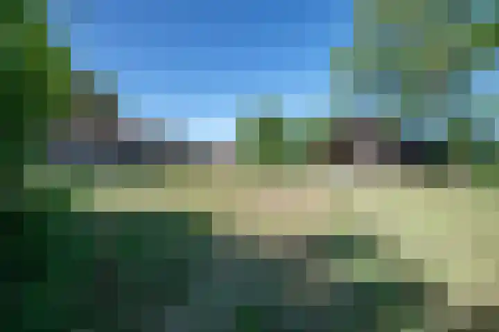 Cellemuiden 35 Hasselt thumbnail 35