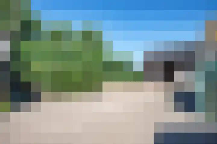 Cellemuiden 35 Hasselt thumbnail 36