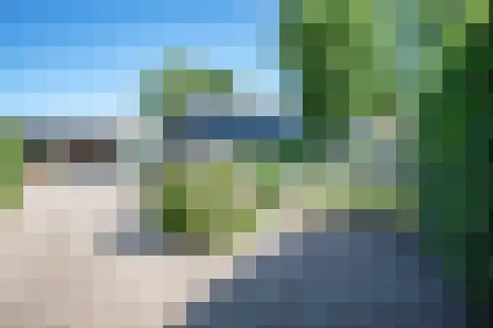 Cellemuiden 35 Hasselt thumbnail 37
