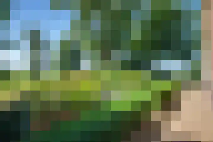 Cellemuiden 35 Hasselt thumbnail 39