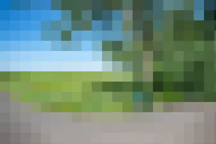 Cellemuiden 35 Hasselt thumbnail 40
