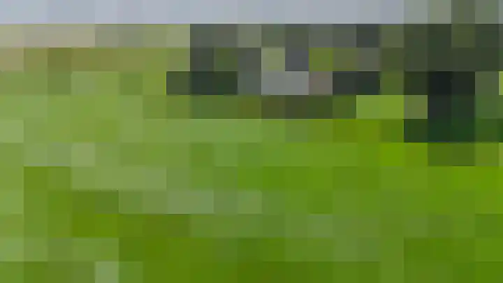 Cellemuiden 35 Hasselt thumbnail 43