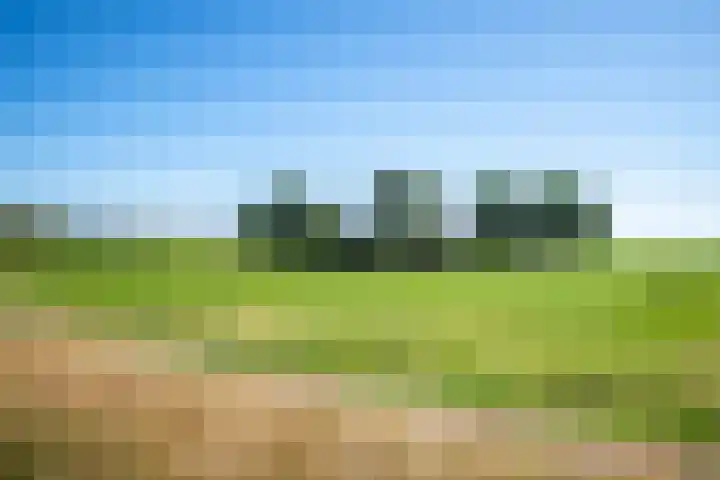 Cellemuiden 35 Hasselt thumbnail 44