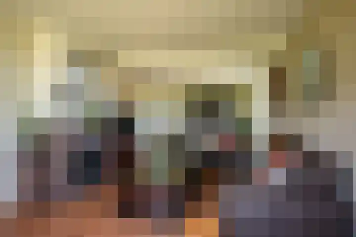 Cellemuiden 35 Hasselt thumbnail 5