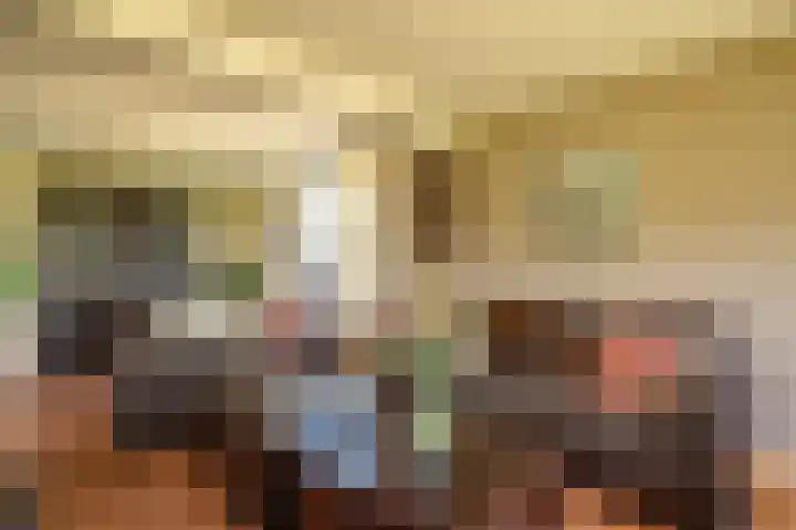 Cellemuiden 35 Hasselt thumbnail 6