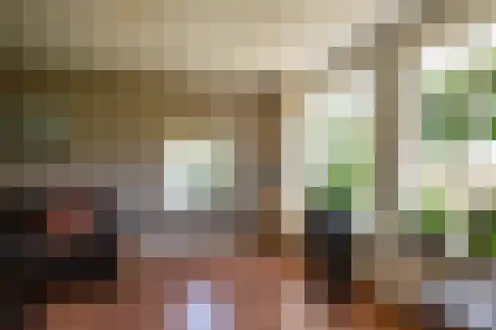 Cellemuiden 35 Hasselt thumbnail 7