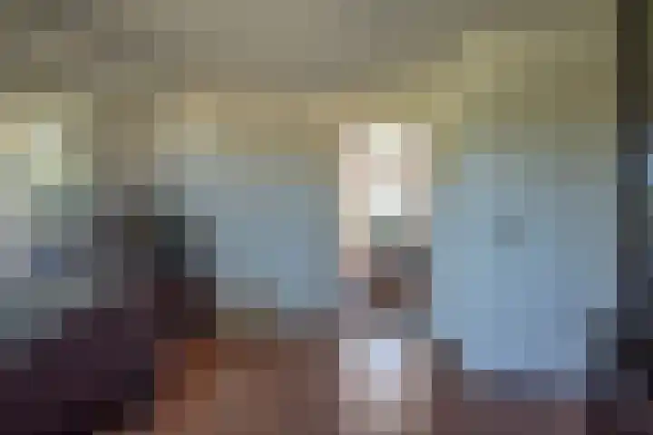 Cellemuiden 35 Hasselt thumbnail 8