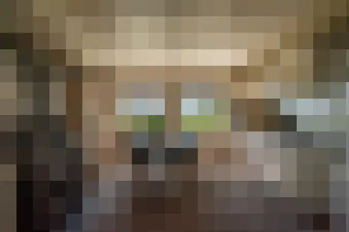 Cellemuiden 35 Hasselt thumbnail 9