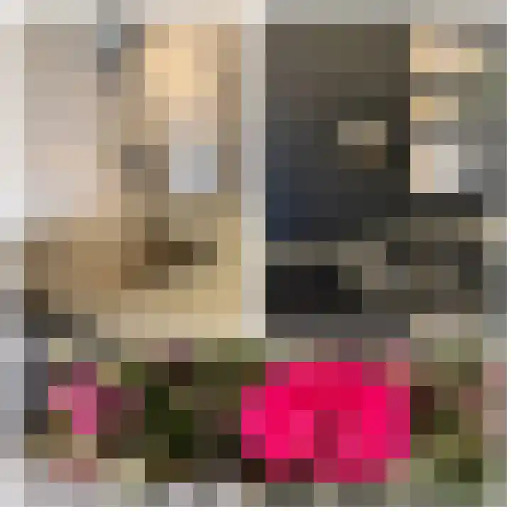 Cellendonklaan 20 Kerk-Avezaath thumbnail 17