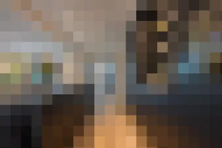 Cellendonklaan 20 Kerk-Avezaath thumbnail 20