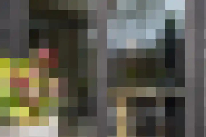 Cellendonklaan 20 Kerk-Avezaath thumbnail 35