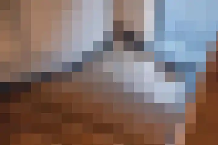 Cellendonklaan 20 Kerk-Avezaath thumbnail 47