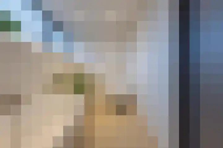 Cellendonklaan 20 Kerk-Avezaath thumbnail 51