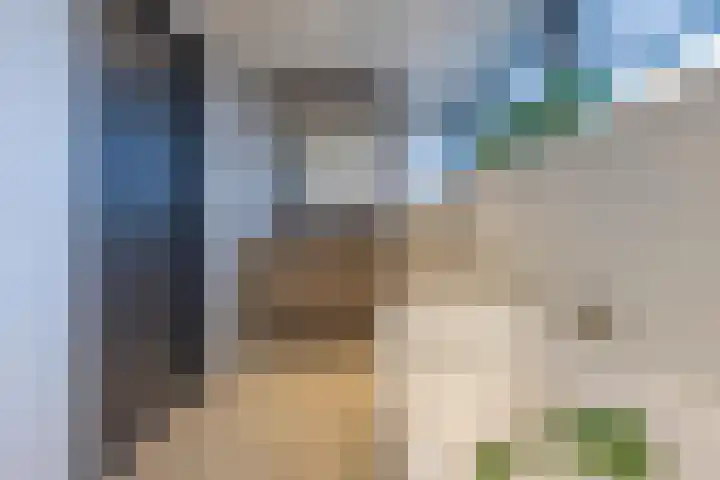 Cellendonklaan 20 Kerk-Avezaath thumbnail 52