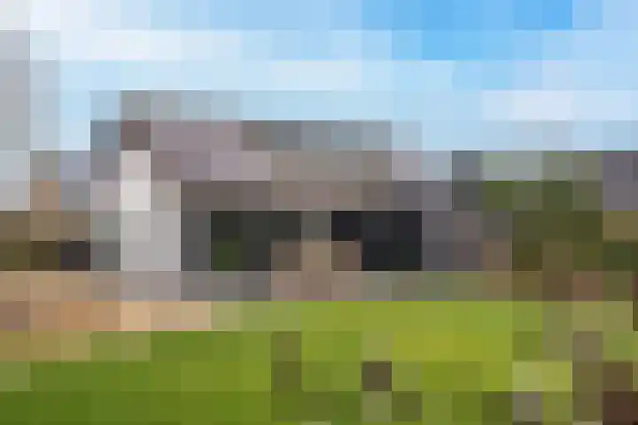 Cellendonklaan 20 Kerk-Avezaath thumbnail 64