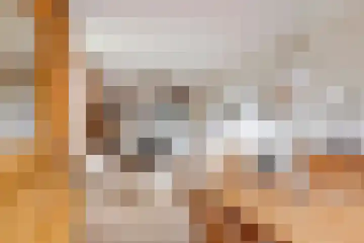 Cellendonklaan 25 Kerk-Avezaath thumbnail 10