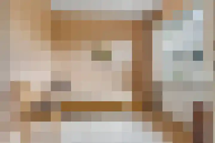 Cellendonklaan 25 Kerk-Avezaath thumbnail 14