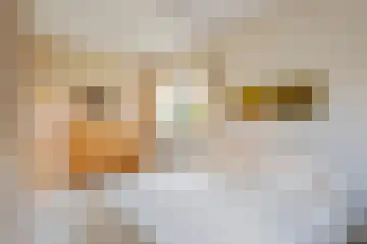 Cellendonklaan 25 Kerk-Avezaath thumbnail 18