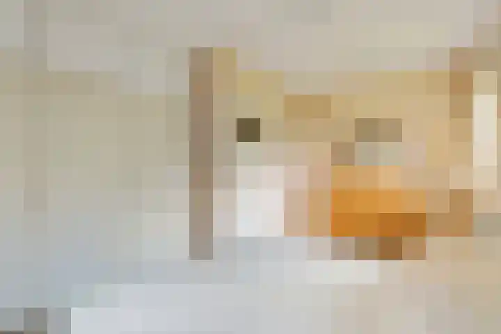 Cellendonklaan 25 Kerk-Avezaath thumbnail 22
