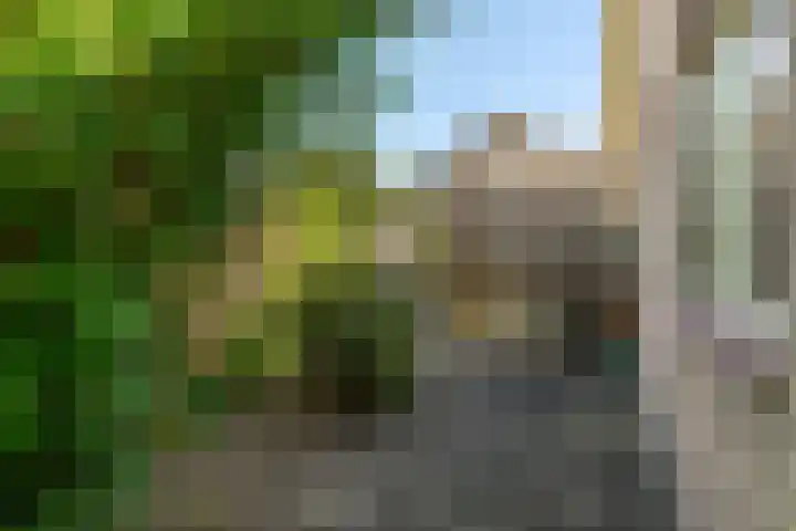 Cellendonklaan 25 Kerk-Avezaath thumbnail 28