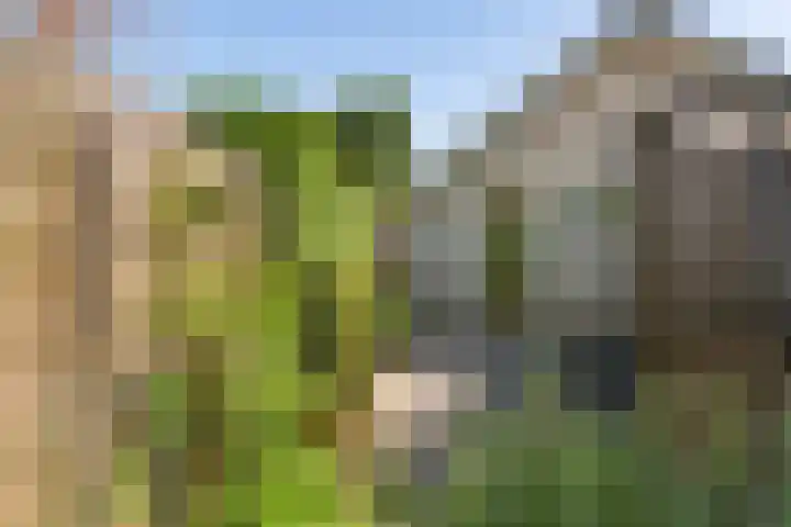 Cellendonklaan 25 Kerk-Avezaath thumbnail 29