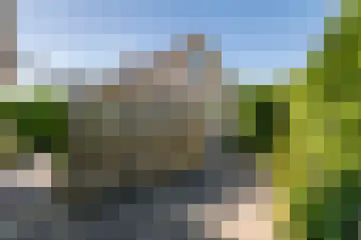 Cellendonklaan 25 Kerk-Avezaath thumbnail 30