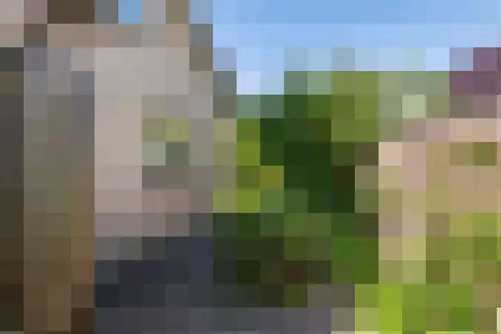 Cellendonklaan 25 Kerk-Avezaath thumbnail 31