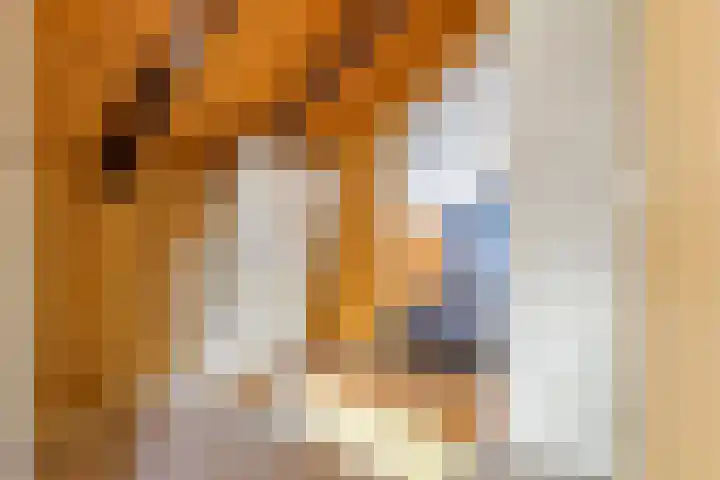 Cellendonklaan 25 Kerk-Avezaath thumbnail 37