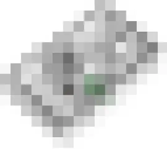 Cellendonklaan 25 Kerk-Avezaath thumbnail 40