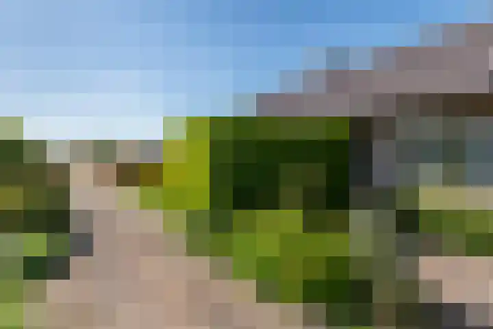 Cellendonklaan 25 Kerk-Avezaath thumbnail 7